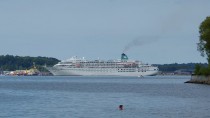 Amadea - 7049